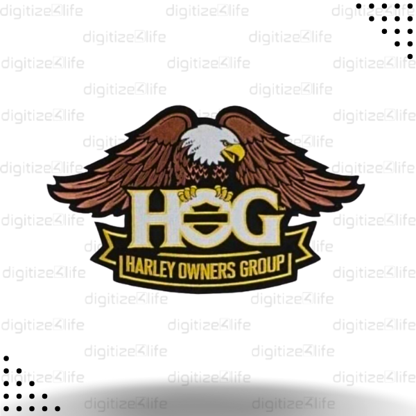 HOG Falcon Logo Designing